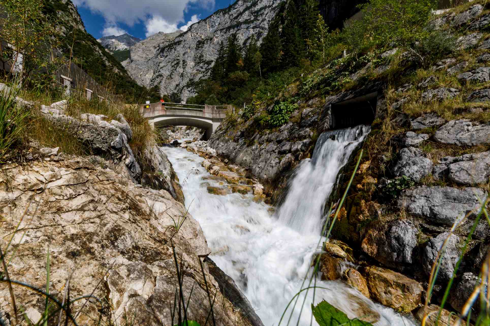 Das Halltal im Sommer