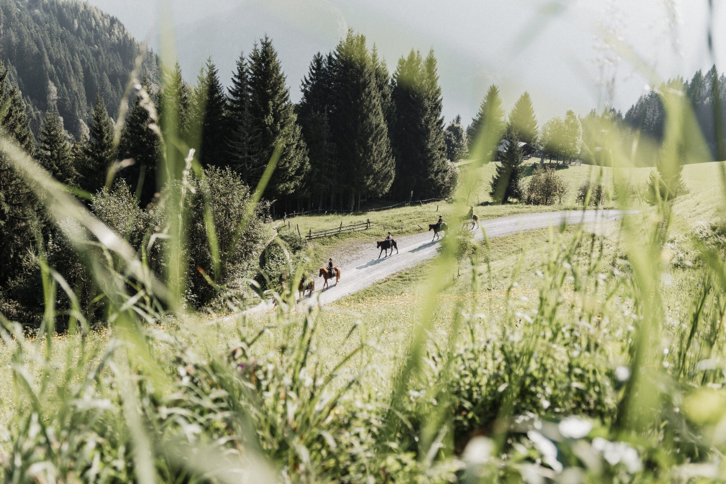 Ausritt in den Bergen