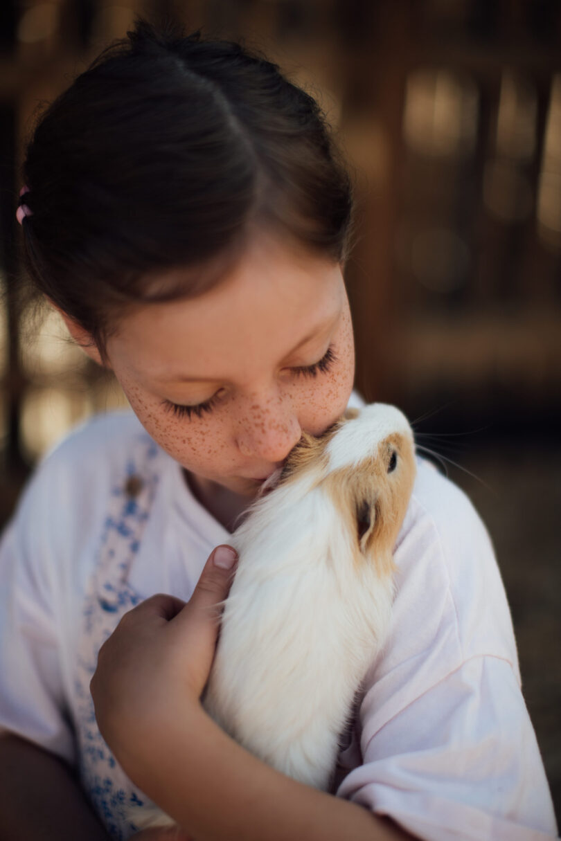mädchen küsst meerschweinchen