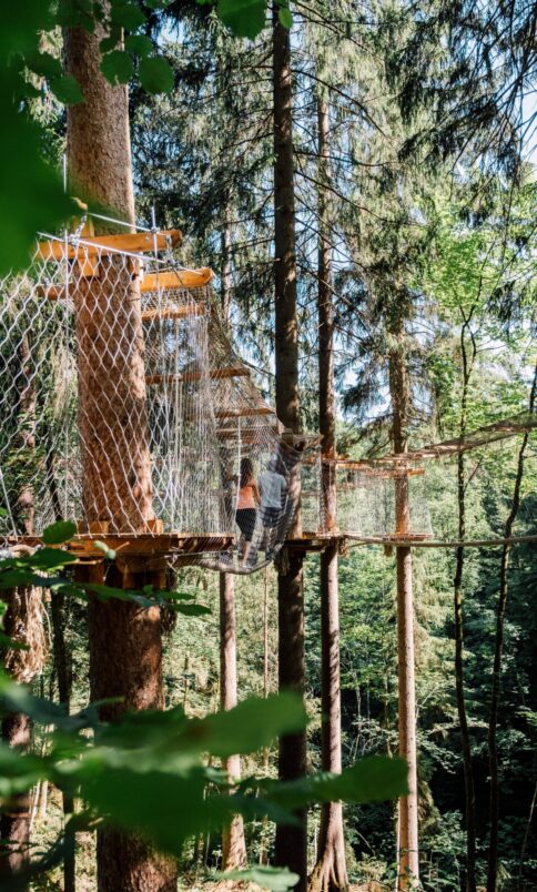 Beim Baumparcours im Wald von JO St. Johann kann man selbstständig klettern.